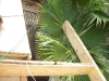 pictures from hieghts and other things 075